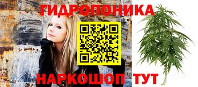 прущие крисы Нягань