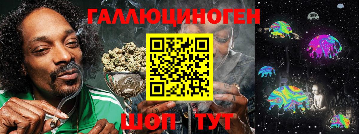 Пугачёв  Псилоцибиновые грибы Magic Shrooms  Вход с VPN 